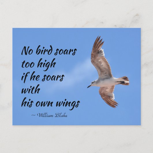 鳥が飛んで高引用文のカモメを舞い上がらない ポストカード (正面)
