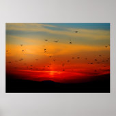 鳥たちが夕日に飛び立ち、絵のような写真を撮る。 ポスター (正面)