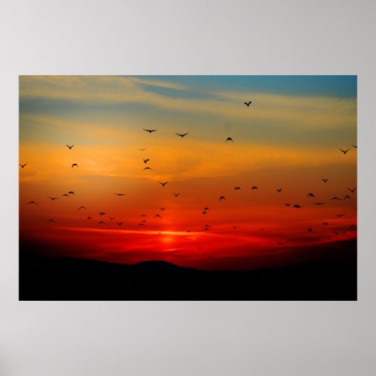 鳥たちが夕日に飛び立ち、絵のような写真を撮る。 ポスター (正面)