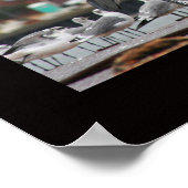 鳥だけでなく、多様性 ポスター (角)