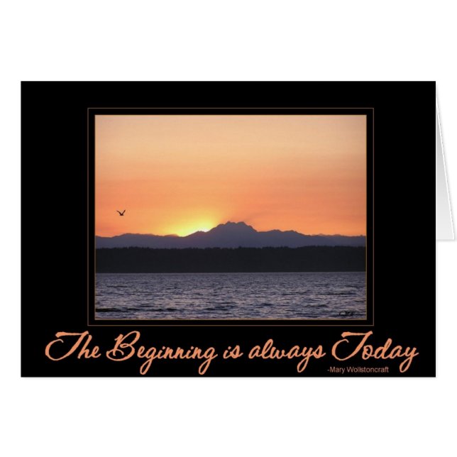 鳥との日没-始めは今日常にあります (正面横)