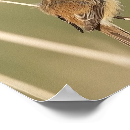 鳥とアッシジ祈りの言葉の聖フランシス ポスター (角)