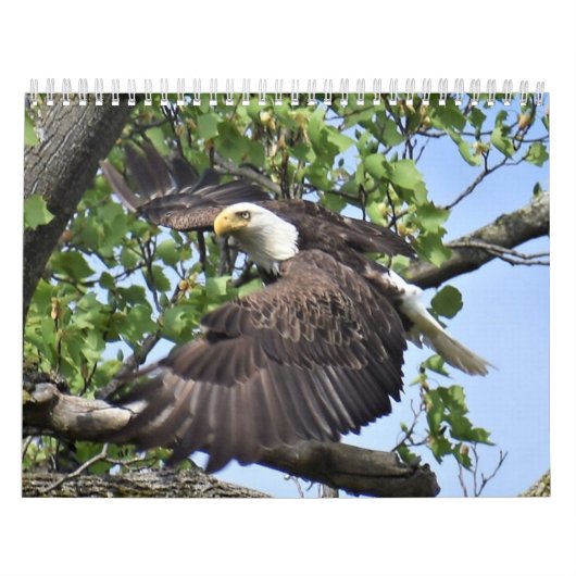 鳥とアヒルのカレンダー カレンダー (カバー)