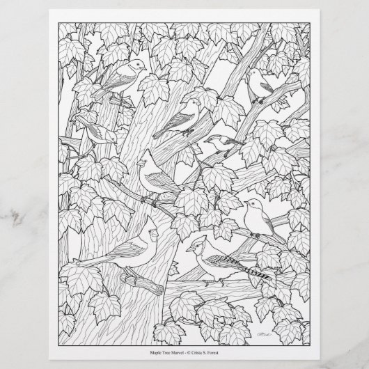 鳥とカエデの木の大人の色のページ (正面)