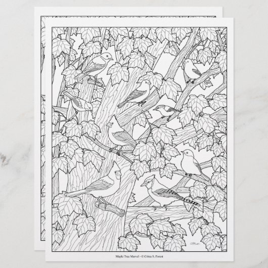 鳥とカエデの木の大人の色のページ (正面/裏面)