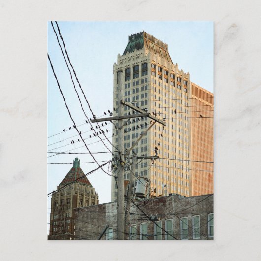 鳥とタルサのダウンタウン ポストカード (正面)