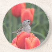 鳥とチューリップフローラ砂岩コースター コースター (正面)