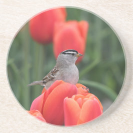 鳥とチューリップフローラ砂岩コースター コースター