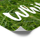 鳥とハトの恋人の贈り物のためのホワイト鳩 ポスター (角)