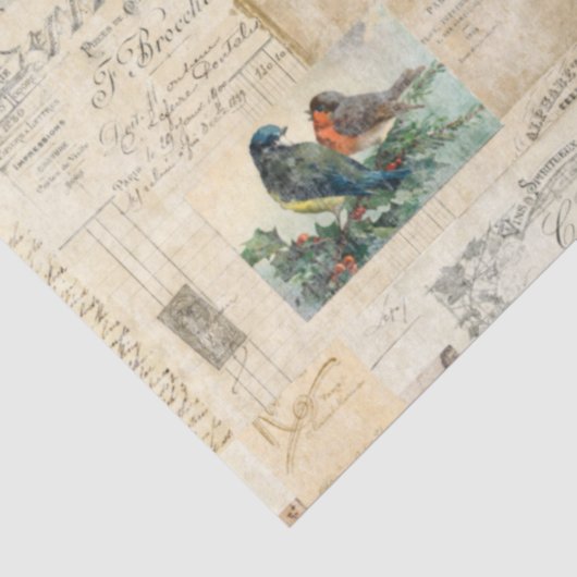 鳥と動揺して文書のエフェラティッシュペーパー 薄葉紙 (詳細)