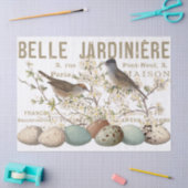 鳥と卵のヴィンテージフランスのタイポグラフィ 薄葉紙 (クラフト)