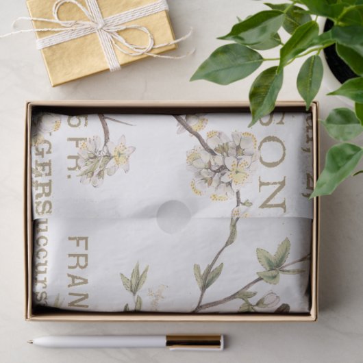 鳥と卵のヴィンテージフランスのタイポグラフィ 薄葉紙 (ギフト)