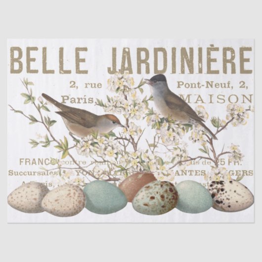 鳥と卵のヴィンテージフランスのタイポグラフィ 薄葉紙 (正面)