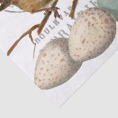 鳥と卵のヴィンテージフランスのパリ文字デクページ 薄葉紙 (詳細)