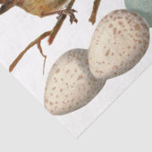 鳥と卵のヴィンテージヨーロッパのロビンデクページ 薄葉紙 (詳細)