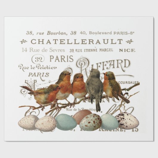 鳥と卵のヴィンテージ市フランスの名の分離 ラッピングペーパー (フラット)