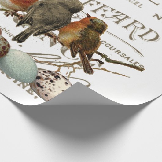 鳥と卵のヴィンテージ市フランスの名の分離 ラッピングペーパー (角)