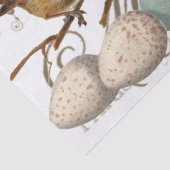 鳥と卵のヴィンテージ市フランスの名の分離 薄葉紙 (詳細)