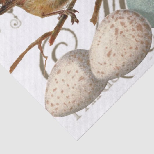 鳥と卵のヴィンテージ市フランスの名の分離 薄葉紙 (詳細)