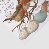鳥と卵のヴィンテージ市フランスの名の分離 薄葉紙 (詳細)