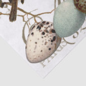 鳥と卵のヴィンテージ市フランスの名の分離 薄葉紙 (詳細)