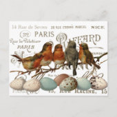 鳥と卵のヴィンテージ市フランスの名スクラップブック ポストカード (正面)