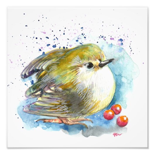 鳥と果実 フォトプリント            (正面)