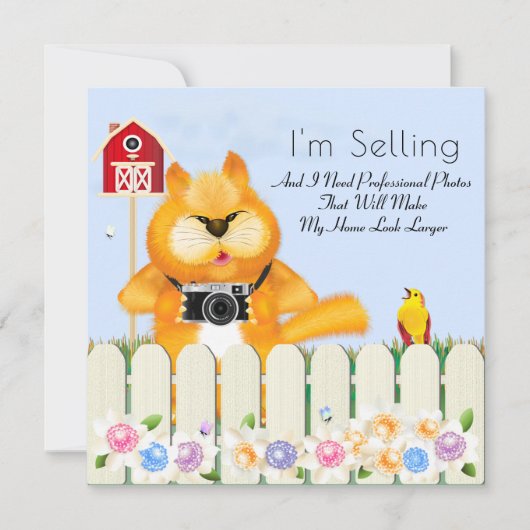 鳥と猫の写真家実在家跡新築 カード (正面)
