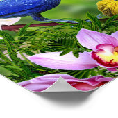 鳥と花鳥類の美しいイメージ ポスター (角)