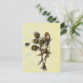 鳥と蜂 ポストカード (スタンド正面)