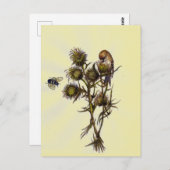 鳥と蜂 ポストカード (正面/裏面)