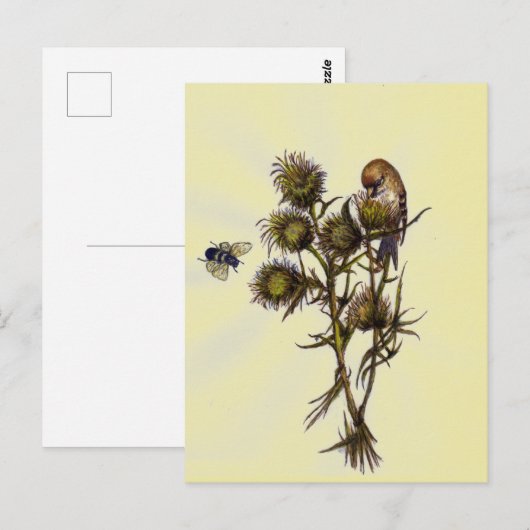 鳥と蜂 ポストカード (正面/裏面)
