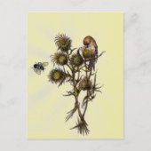 鳥と蜂 ポストカード (正面)