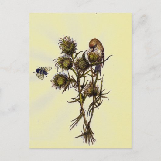 鳥と蜂 ポストカード (正面)