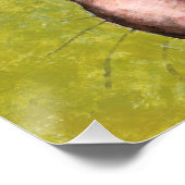 鳥と話すタビー猫 ポスター (コーナー)