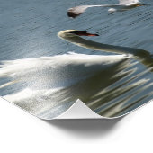 鳥と遊白鳥が フォトプリント            (角)