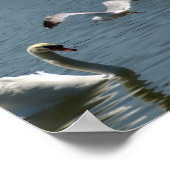 鳥と遊白鳥が ポスター (角)