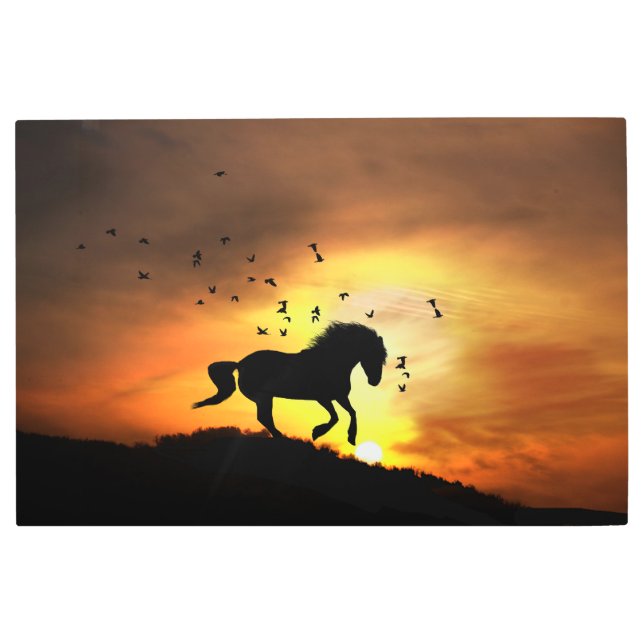 鳥と馬と南西の夕日 メタルプリント (正面)