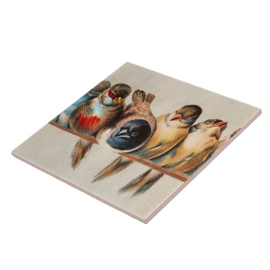 鳥と鳩のライン タイル (側面)