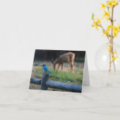 鳥と鹿は違いはあるものの仲が良い。 カード (黄色い花)