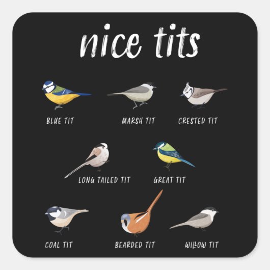 鳥のおもしろい見張り人のための鳥の贈り物 スクエアシール (正面)