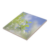 鳥のさくらんぼツリーフラワースカイ タイル (側面)