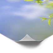 鳥のさくらんぼツリーフラワースカイ ポスター (角)