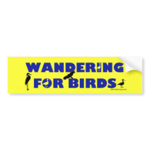 鳥のためにさまようこと