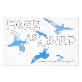 鳥のように自由 フォトプリント           