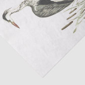 鳥のイラストレーションの公有地の鷲 薄葉紙 (詳細)