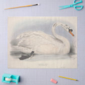 鳥のエフェメラの切り離し 薄葉紙 (クラフト)