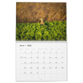 鳥のカレンダー2020 カレンダー (3月 2026)