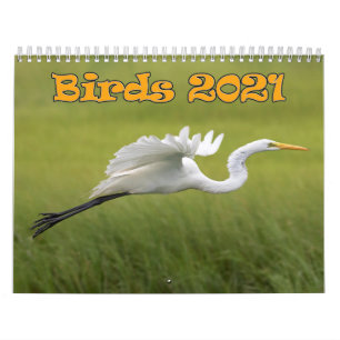 鳥のカレンダー2021 カレンダー