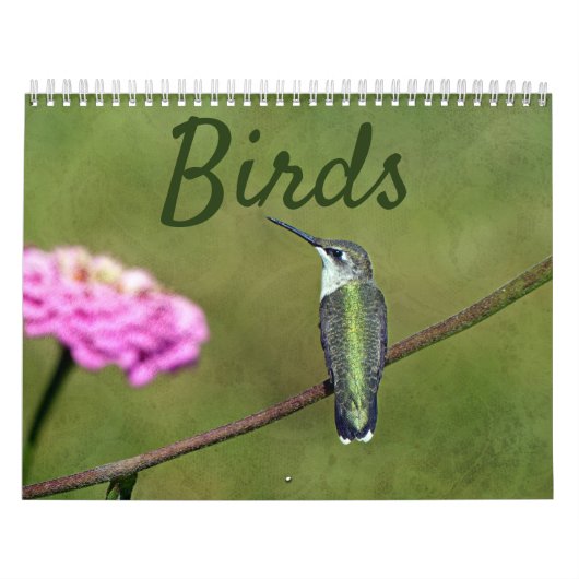 鳥のカレンダー カレンダー (カバー)